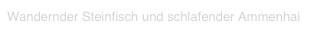 Wandernder Steinfisch und schlafender Ammenhai 